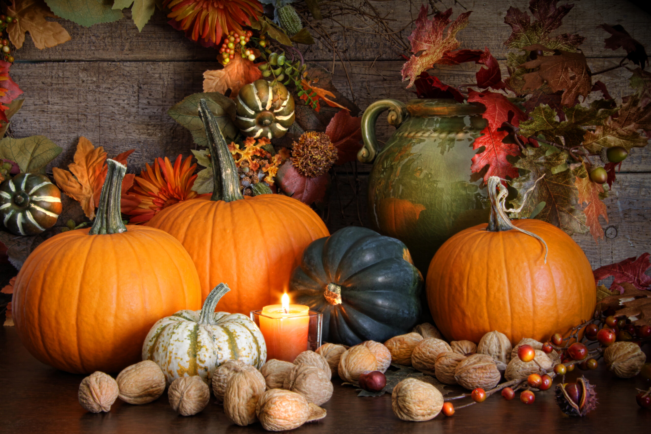 zucca natura
