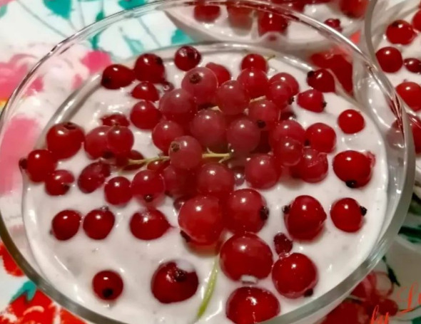 Coppette con mousse di ricotta e yogurt alla soia con ribes