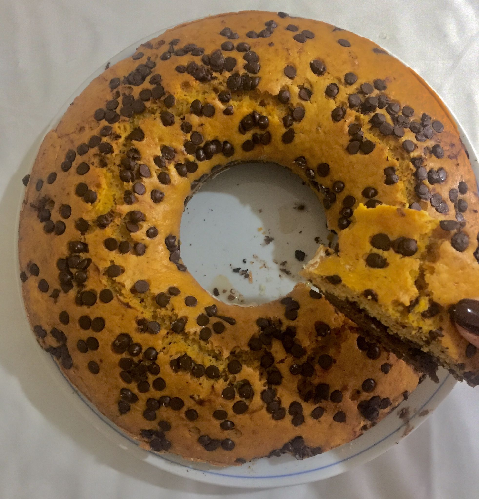 Ciambellone “ghepardo” di zucca e gocce di cioccolato