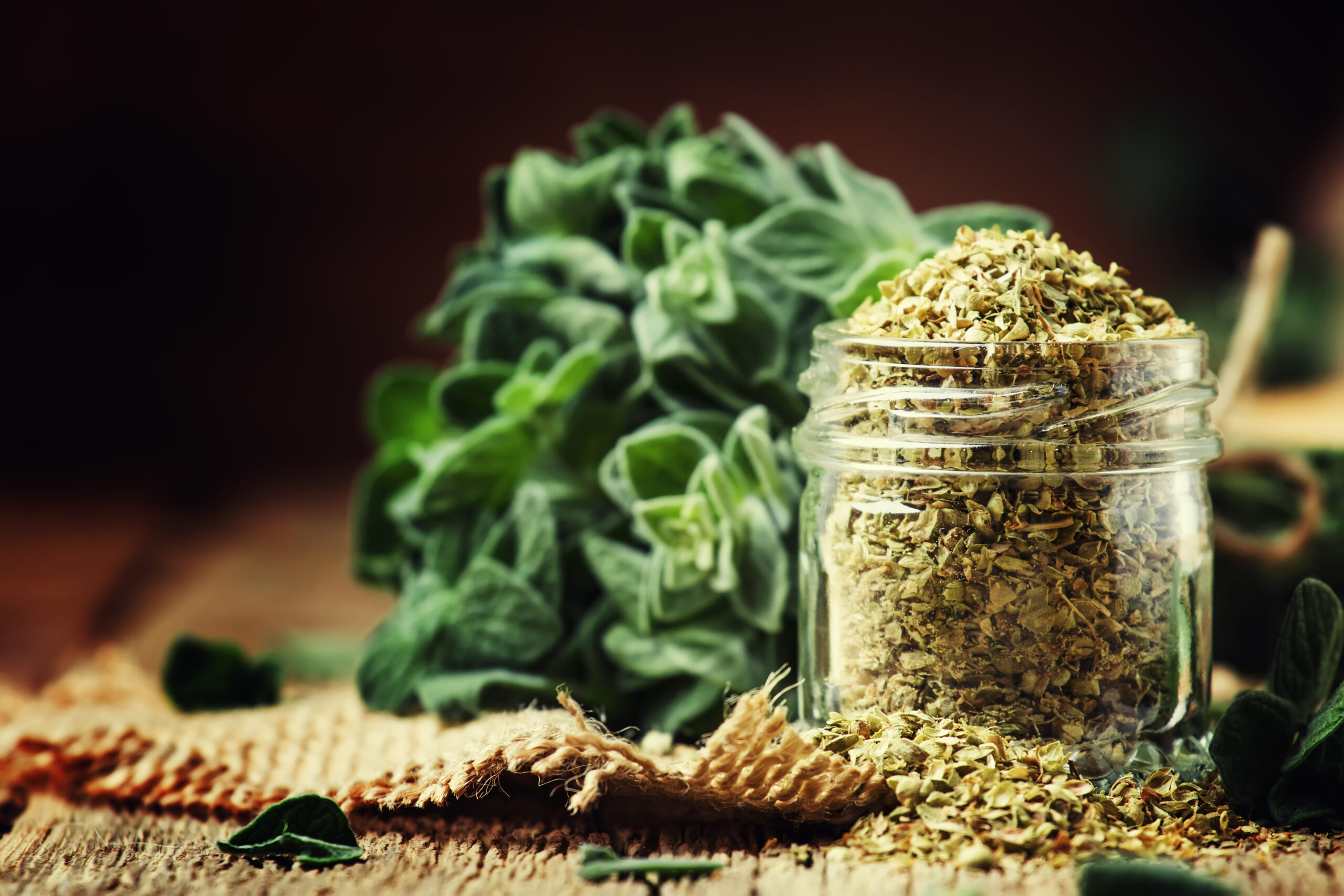 Origano: una pianta preziosa