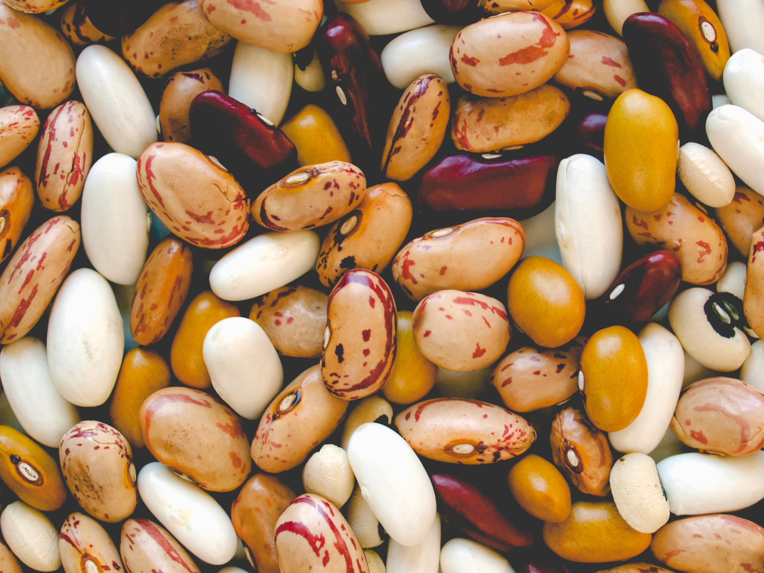 legumi e gonfiore: tra falsi miti e realtà