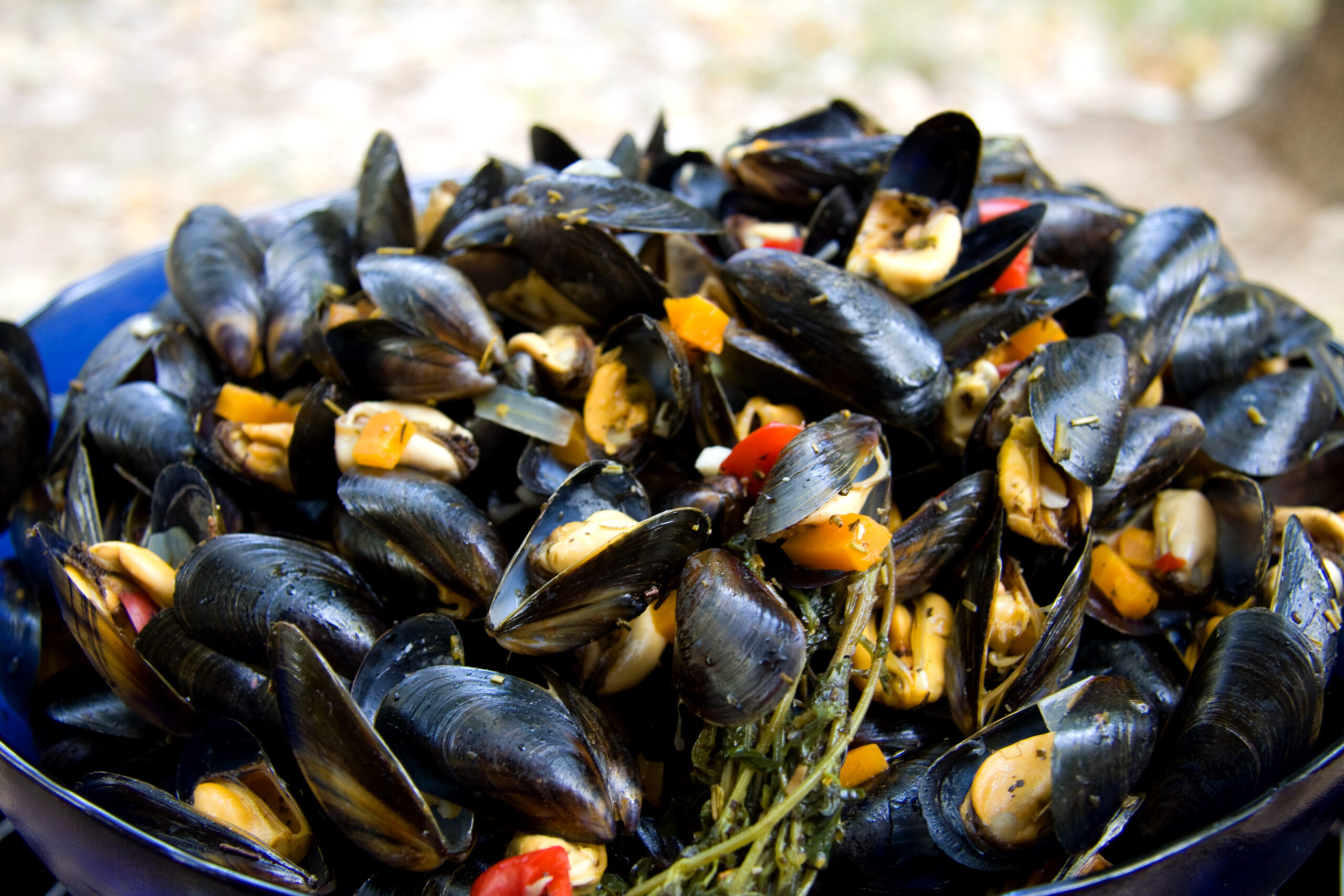 Tubettini fagioli e cozze